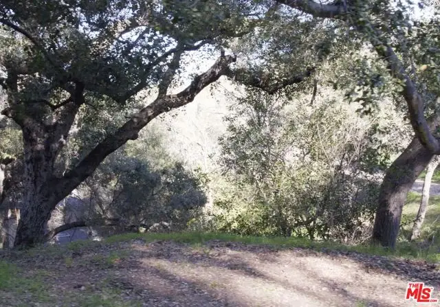 21050 Winfield Road, Topanga, CA 90290 - Image #1