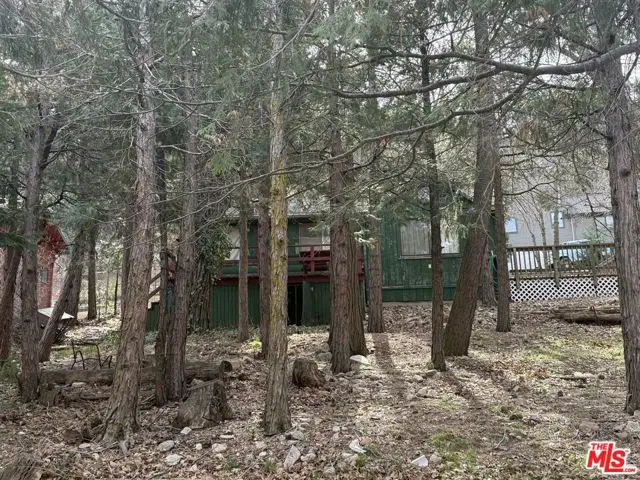 21801 Plunge Road, Cedarpines Park, CA 92322 - Image #2