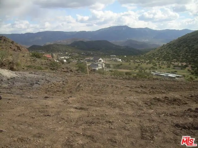 34590 Brock Ln Street, Acton, CA 93510 - #2