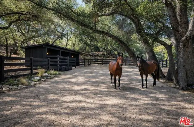 730 Crater Camp Drive, Calabasas, CA 91302 - #3