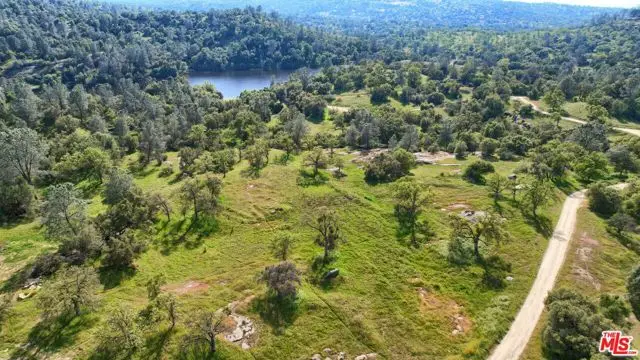 41924 Patrick Ave, Coarsegold, CA 93614 - #2