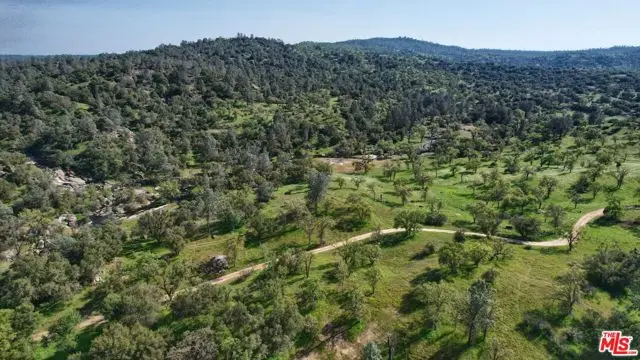 41924 Patrick Ave, Coarsegold, CA 93614 - #2