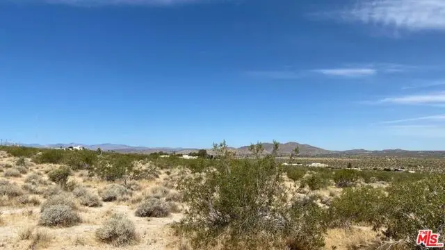 6800 Mojave Ranch Road, Joshua Tree, CA 92252 - #3