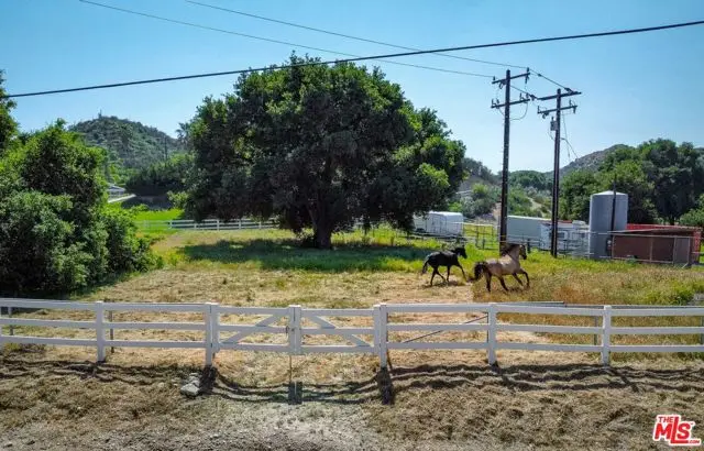 28132 Oak Spring Canyon Road, Canyon Country, CA 91387 - #3