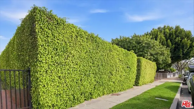 2613 Jeffries Avenue, Los Angeles, CA 90065 - #3