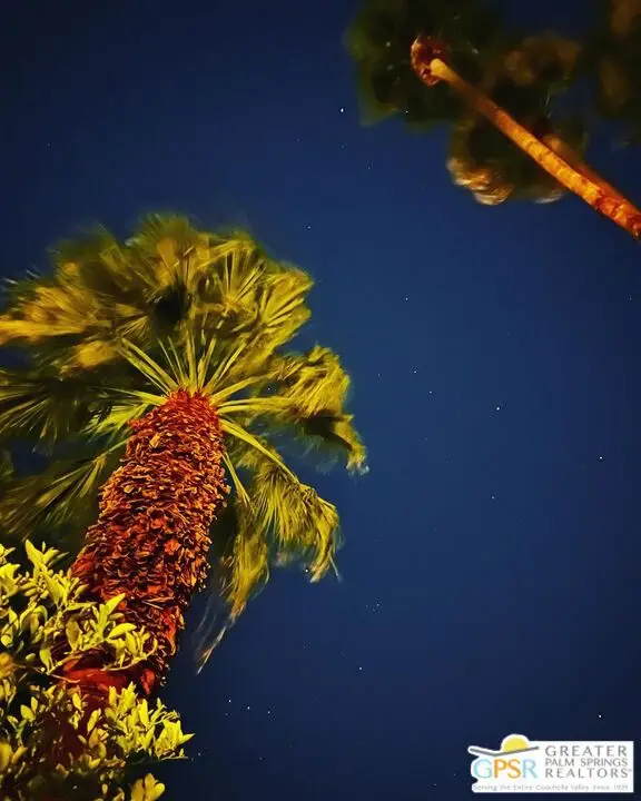 572 N Calle Marcus, Palm Springs, CA 92262 - #2