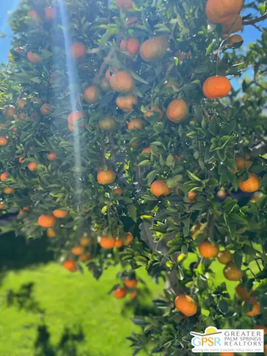 572 N Calle Marcus, Palm Springs, CA 92262 - #3