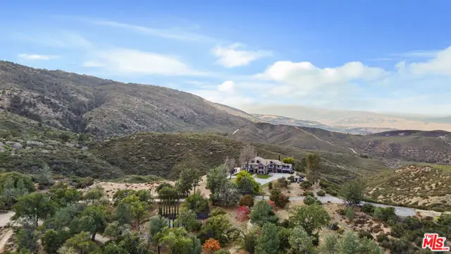 28765 Pine Canyon Road, North Antelope Valley, CA 93532 - #3