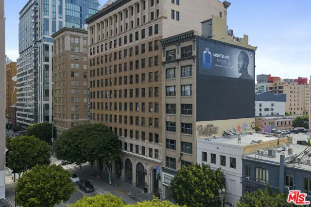 814 S Spring Street #8, Los Angeles, CA 90014 - #2