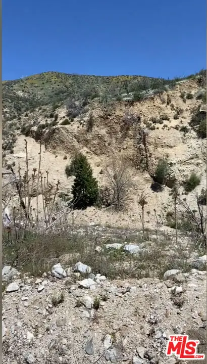 0 Pine Canyon Road, Lake Hughes, CA 93532 - #2