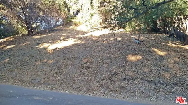 12300 Spring Trail, Sylmar, CA 91342 - #2