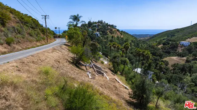 4015 Latigo Canyon Road, Malibu, CA 90265 - #2