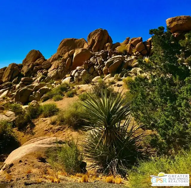 6220 Mirlo Court, Yucca Valley, CA 92284 - #1