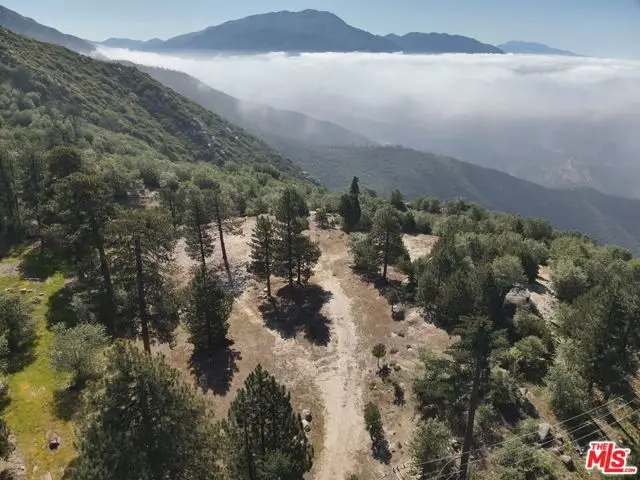3521 Seymour Road, Running Springs, CA 92382 - #2