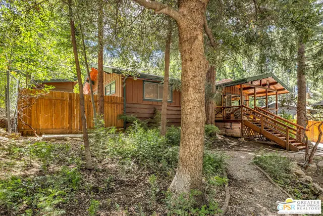 25060 Fern Valley Road, Idyllwild, CA 92549 - #1