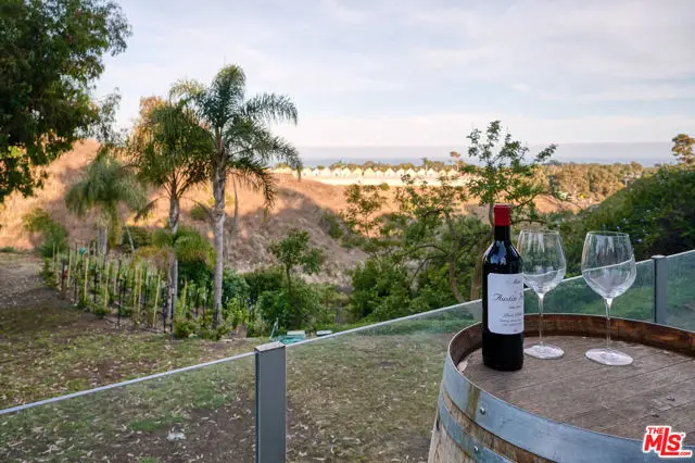 28907 Wight Road, Malibu, CA 90265 - #3