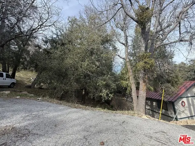 24862 Edelweiss Drive, Crestline, CA 92325 - #1