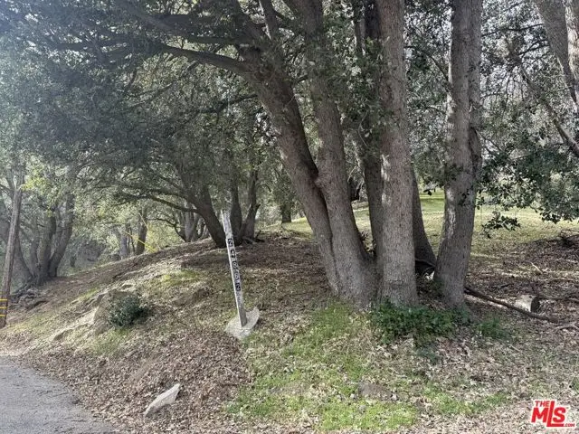 24862 Edelweiss Drive, Crestline, CA 92325 - #2