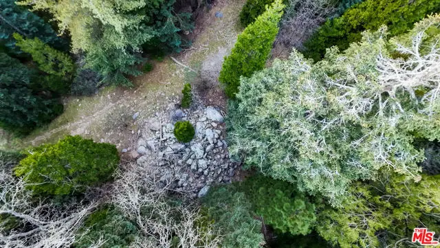 246 Cedar Ridge Drive, Lake Arrowhead, CA 92352 - #3