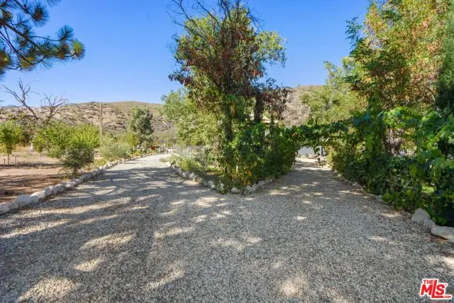 27235 Pine Canyon Road, Lake Hughes, CA 93532 - #2