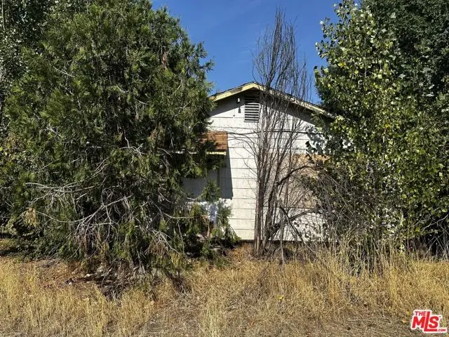 16118 First Avenue, Hornbrook, CA 96044 - #3