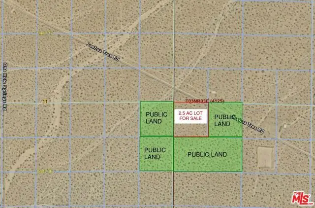 0 Joshua Road, Lucerne Valley, CA 92356 - #3