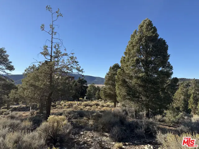 46280 Boron Lane, Big Bear City, CA 92314 - #3