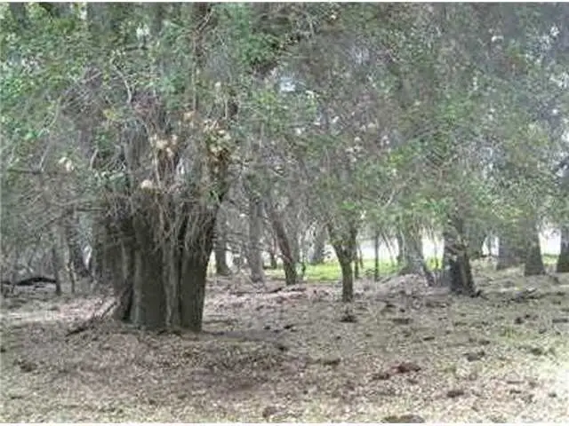 160 Historic Ranch Canebrake Road, Boulevard, CA 91905 - Image #3