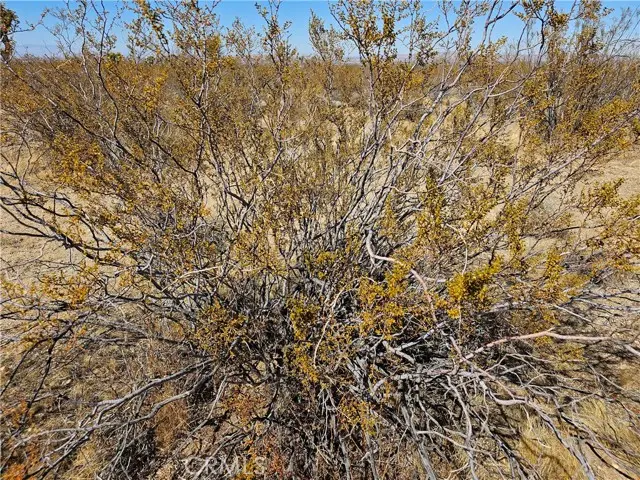 0 Avenue R, Palmdale, CA 93591 - Image #2