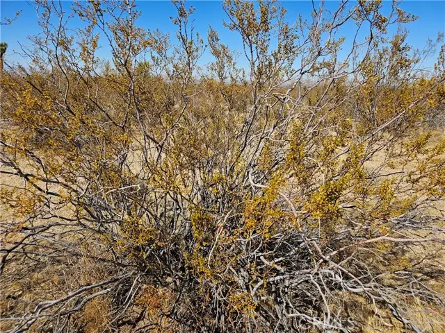 0 Avenue R, Palmdale, CA 93591 - Image #3