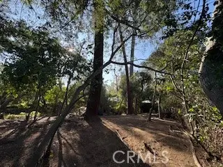 0 Burleigh Drive, Pasadena, CA 91105 - Image #3