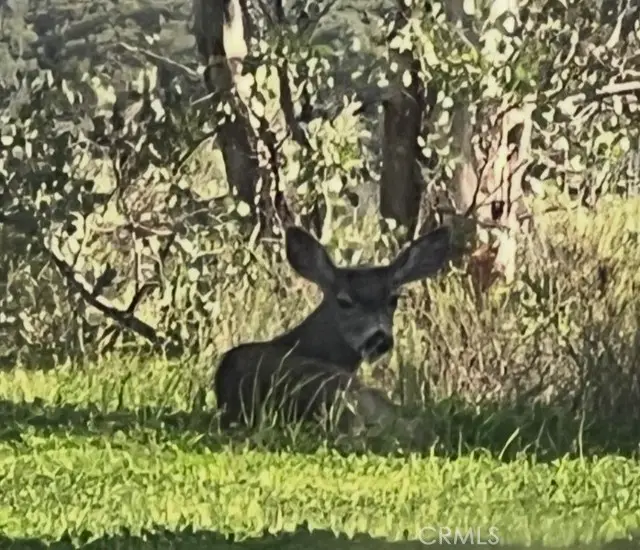 0 0, Rancho Mission Viejo, CA 92675 - #2