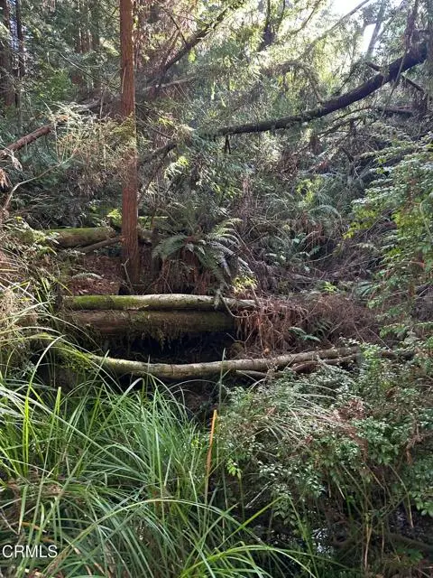 17500 Redwood Springs Drive, Fort Bragg, CA 95437 - Image #2