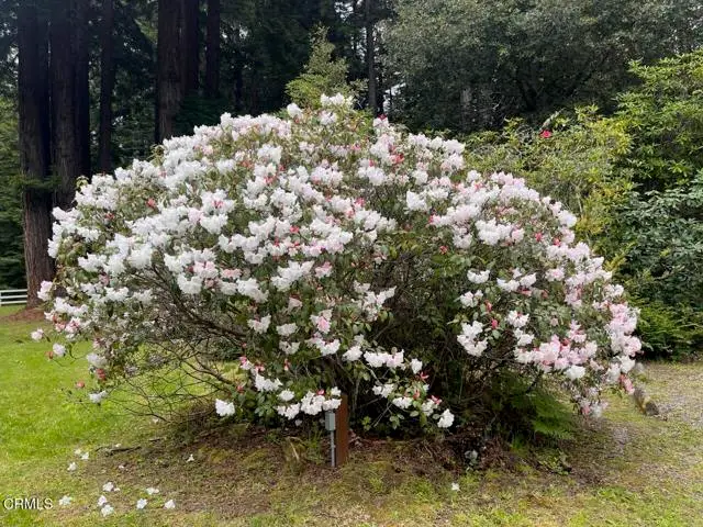 19701 Noyo Acres Drive, Fort Bragg, CA 95437 - #3