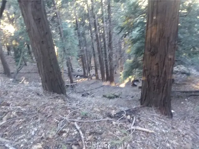 0 El Valle, Cedarpines Park, CA 92322 - Image #2