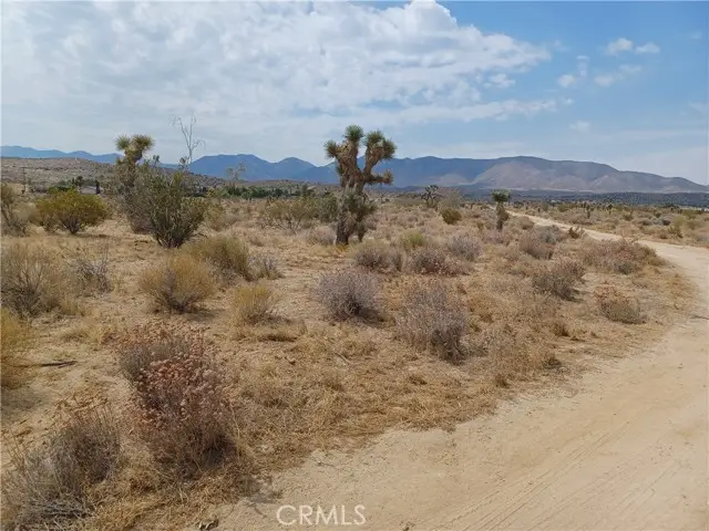 0 E Avenue V-12, Pearblossom, CA 93553 - Image #2