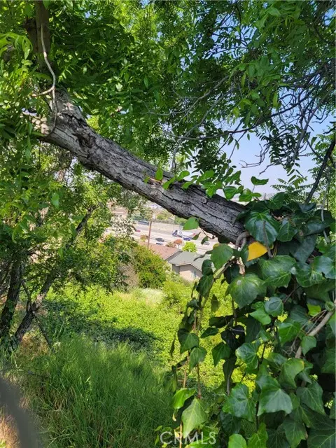 3717 Woolwine, Los Angeles, CA 90063 - Image #3