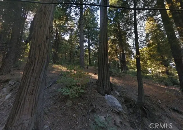 20 Burnt Mill Canyon Road, Cedarpines Park, CA 92322 - Image #3