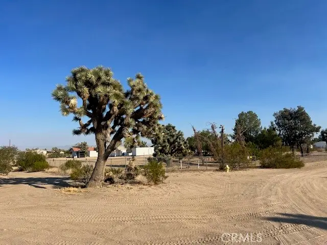 5202 La Mesa Road, Phelan, CA 92371 - #2