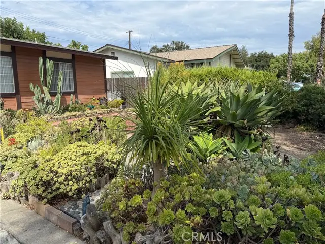 1339 W 11th Street, Upland, CA 91786 - Image #3