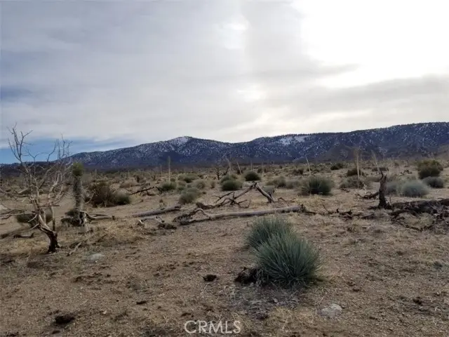 260 Avenue Z14/260 Ste, Llano, CA 93544 - Image #2