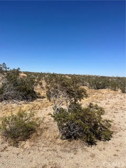 188 E Avenue G, Lancaster, CA 93535 - Image #2