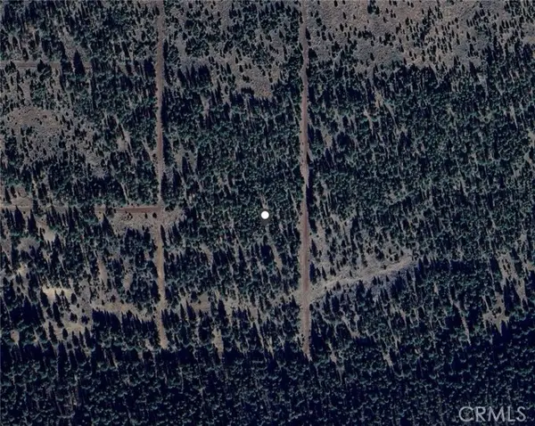 0 Falcon Road, Alturas, CA 96101