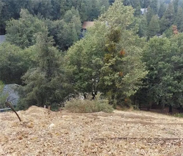 0 Arbula Drive, Crestline, CA 92325 - Image #2