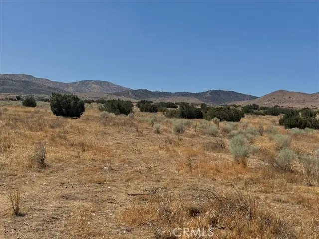 #2