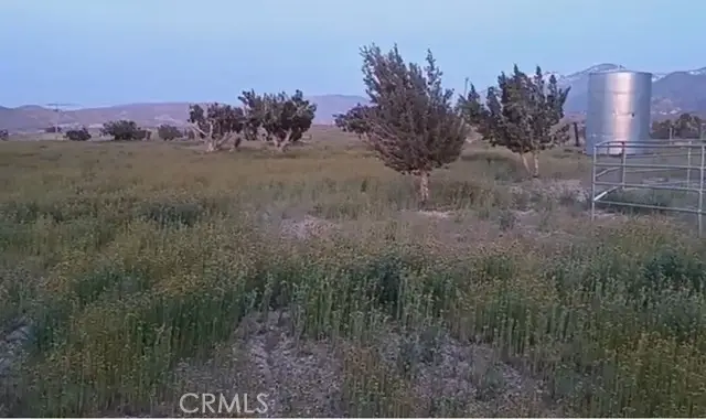 0 Vac/longview Rd/vic Murphys Road, South Antelope Valley, CA 93543 - Image #1