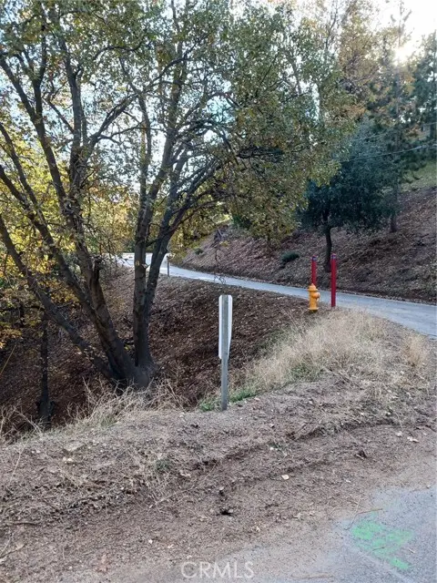 24764 Edelwiess Drive, Crestline, CA 92325 - #2