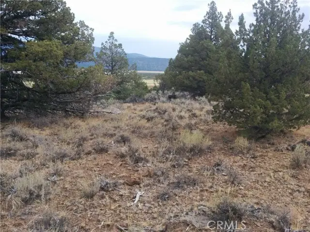 0 Street, Susanville, CA 96130 - Image #3