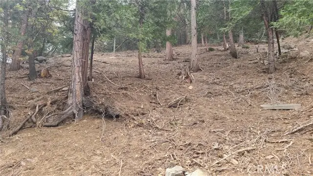 60 Lausanne Drive, Crestline, CA 92325 - #2