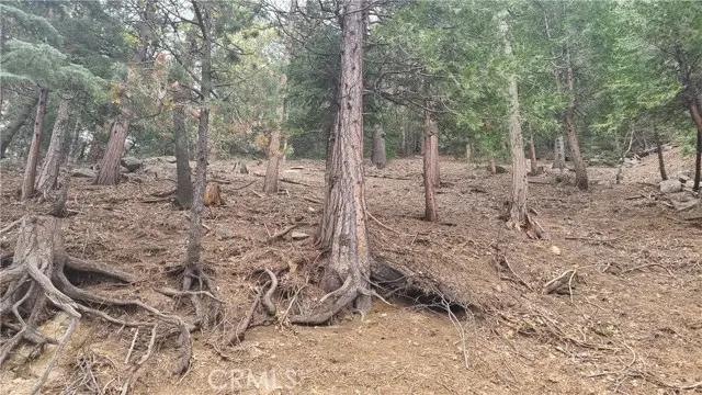 60 Lausanne Drive, Crestline, CA 92325 - #3